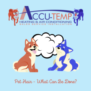 Pet Hair - What Can Be Done? | Accu-Temp Heating & Air Conditioning