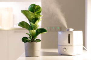 humidifier and plants for indoor air quality.